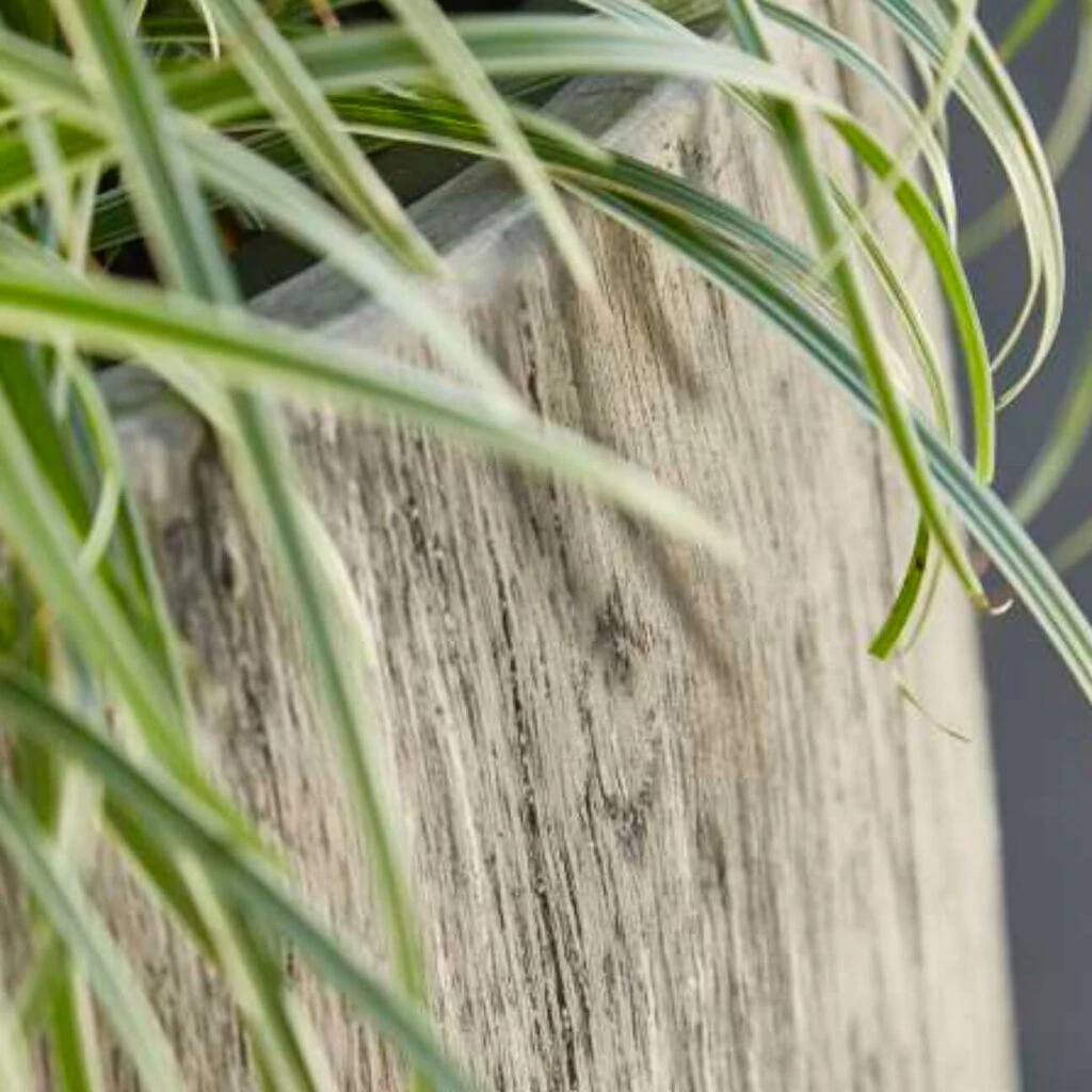 2er Set Pflanzgefäße Aus Polystone - Rund - Grau Mit Holzstruktur-Optik - Mit Einsatz - Yosan 2 2er Set Pflanzgefäße Aus Polystone - Rund - Grau Mit Holzstruktur-Optik - Mit Einsatz - Yosan – Bild 2