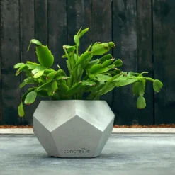 Eleganter Beton Pflanztopf Eckig - Individuell - Murakami
