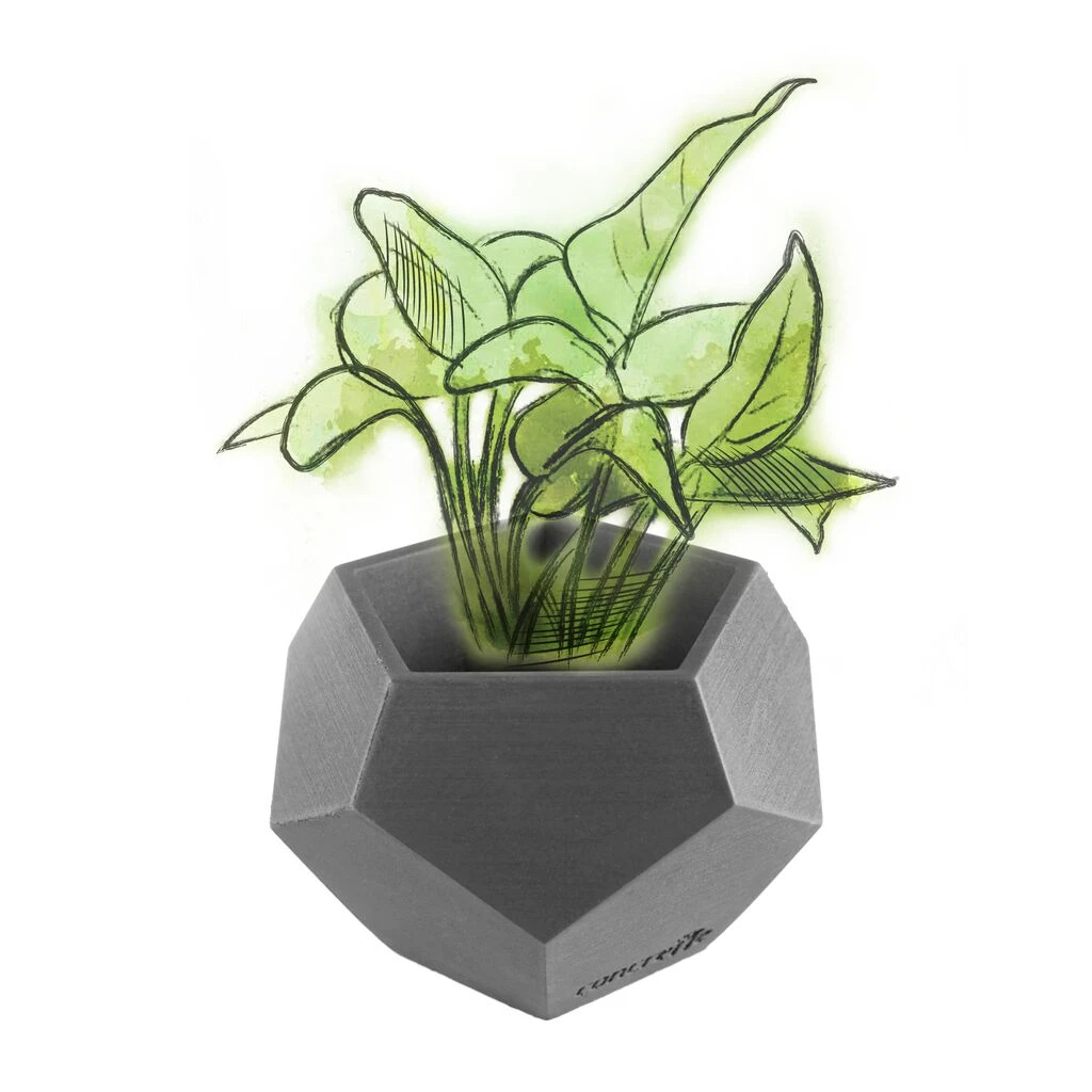 Eleganter Beton Pflanztopf Eckig - Individuell - Murakami 2 Eleganter Beton Pflanztopf Eckig - Individuell - Murakami – Bild 2