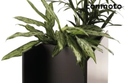 Elegantes Outdoor Pflanzgefäß Aus HPL Anthrazit - Sotomon 8 Elegantes Outdoor Pflanzgefäß Aus HPL Anthrazit - Sotomon -Garten Takt Verkäufe elegantes outdoor pflanzgefaess aus hpl anthrazit sotomon4