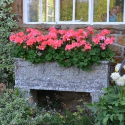 Großer Stein Pflanztrog Antik - Vicenza Grande -Garten Takt Verkäufe grosser stein pflanztrog antik vicenza grande3