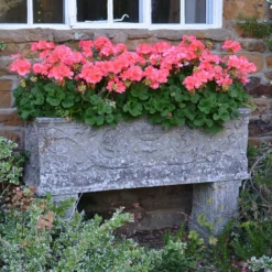 Großer Stein Pflanztrog Antik - Vicenza Grande -Garten Takt Verkäufe grosser stein pflanztrog antik vicenza grande4
