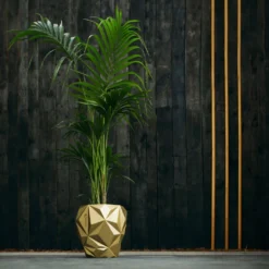 Großer Übertopf Aus Beton Im Modernen Design - Hockney