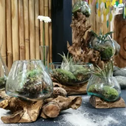 Handgefertigte Unikat Dekoschale - Geschmolzenes Glas Auf Treibholz - Melati 5 Handgefertigte Unikat Dekoschale - Geschmolzenes Glas Auf Treibholz - Melati -Garten Takt Verkäufe handgefertigte unikat dekoschale geschmolzenes glas auf treibholz melati3