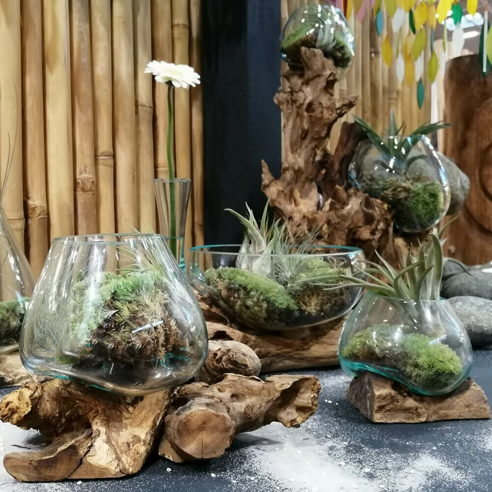 Handgefertigte Unikat Dekoschale - Geschmolzenes Glas Auf Treibholz - Melati 3 Handgefertigte Unikat Dekoschale - Geschmolzenes Glas Auf Treibholz - Melati – Bild 3