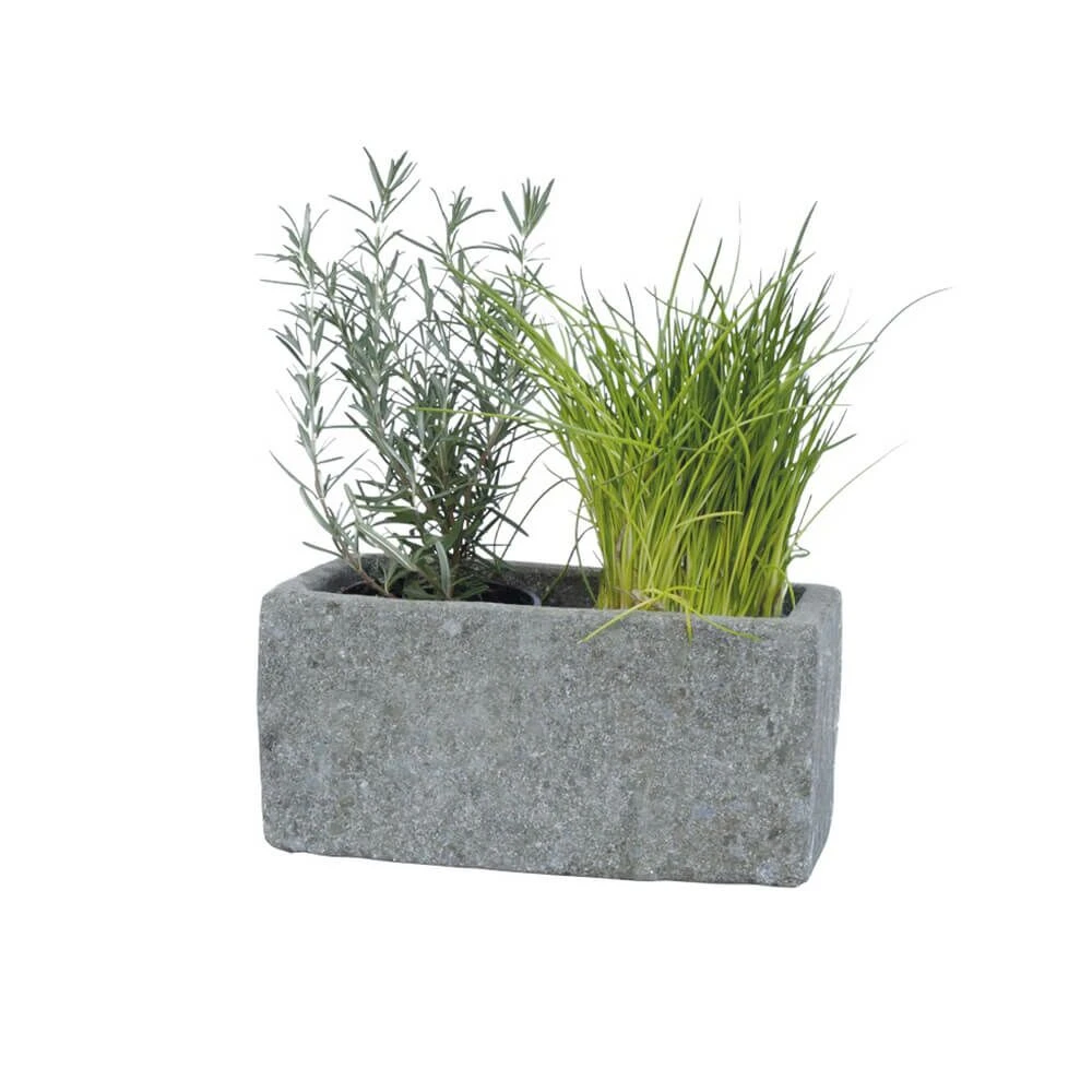 Naturstein Pflanzgefäß Für 12er-Töpfe - Plateia 1 Naturstein Pflanzgefäß Für 12er-Töpfe - Plateia