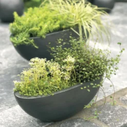 Garten Takt Verkäufe 30 Ovale Pflanzschalen Für Draußen - 2er Set - Keramik - Legumero