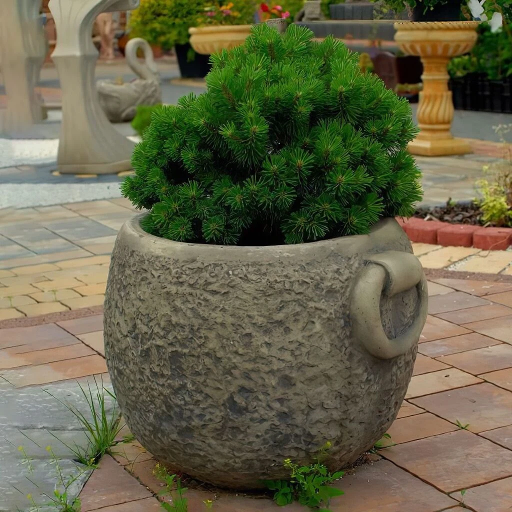 Pflanztopf Mit Rauer Oberfläche Und Griffen - Rundes Steinguss Gefäß - Kiveli 3 Pflanztopf Mit Rauer Oberfläche Und Griffen - Rundes Steinguss Gefäß - Kiveli – Bild 3