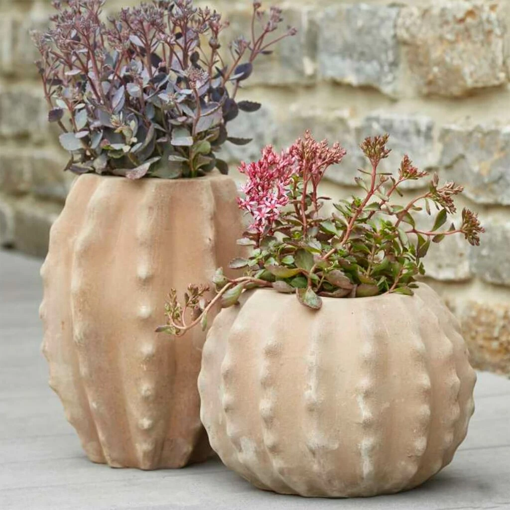 Pflanzvase Für Draußen - Terrakotta - Kaktus-Optik - Timia 2 Pflanzvase Für Draußen - Terrakotta - Kaktus-Optik - Timia – Bild 2