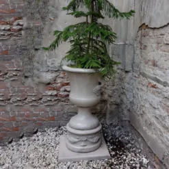 Schlichte Gartenamphore Zum Bepflanzen Mit Dekorativen Griffen - Kasandra 7 Schlichte Gartenamphore Zum Bepflanzen Mit Dekorativen Griffen - Kasandra -Garten Takt Verkäufe schlichte gartenamphore zum bepflanzen mit dekorativen griffen kasandra3