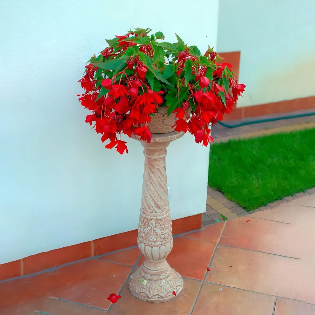 Steinguss Schale Inklusive Säule Im Maritimen Design Mit Muscheln - Harmonia 1 Steinguss Schale Inklusive Säule Im Maritimen Design Mit Muscheln - Harmonia