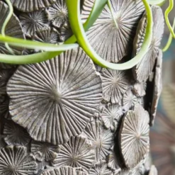 XXL Vase Mit Einsatz - Polystone - Grau - Indoor - Rund - Semere 5 XXL Vase Mit Einsatz - Polystone - Grau - Indoor - Rund - Semere -Garten Takt Verkäufe xxl vase mit einsatz polystone grau indoor rund semere3