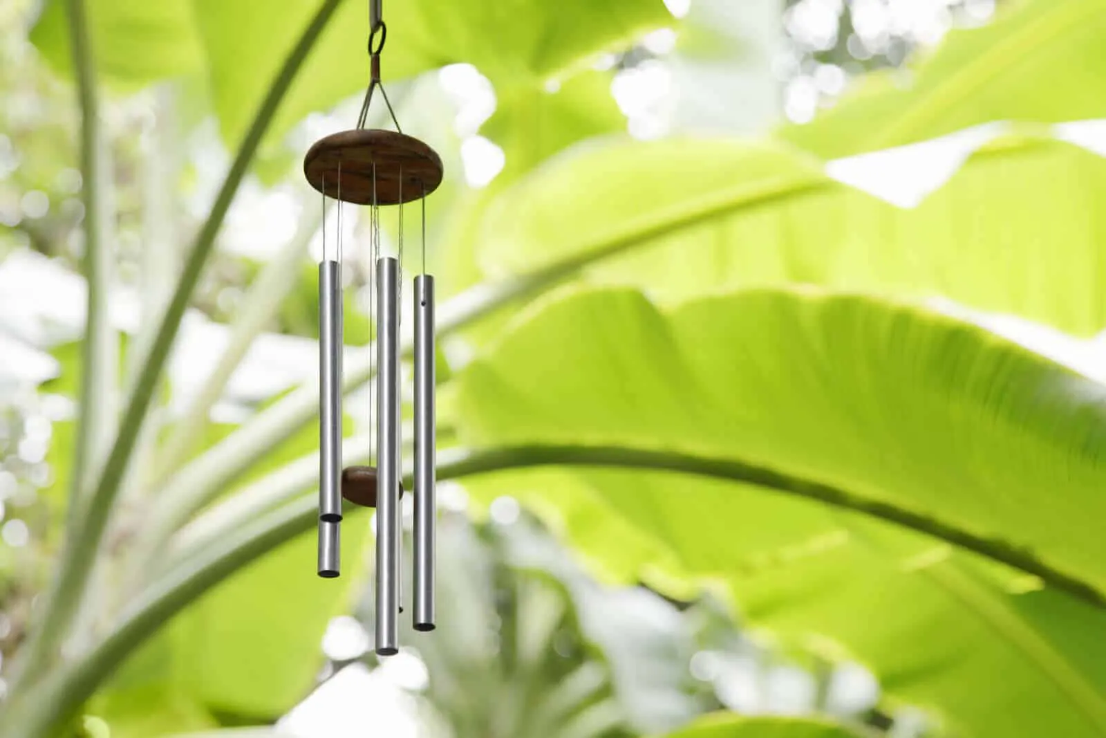 Garten Takt Verkäufe -Garten Takt Verkäufe klangspiele 1